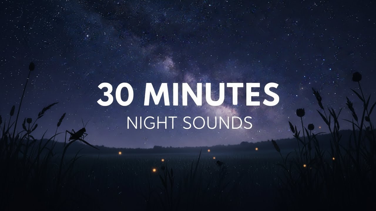 Night Sounds for Sleeping Work or Study | 30 Min Crickets, Owls & Forest Ambience