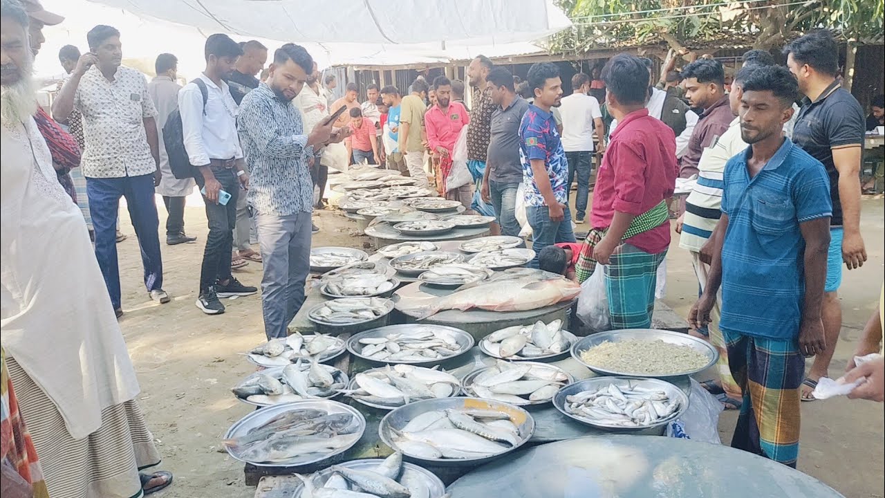 শীতের দিনে পদ্মার ইলিশ মাছের বিখ্যাত বাজার। পালেরচর বাজার। পদ্মা ফিশ মার্কেট। ০১৯৫৬৫৯৩৩৫২