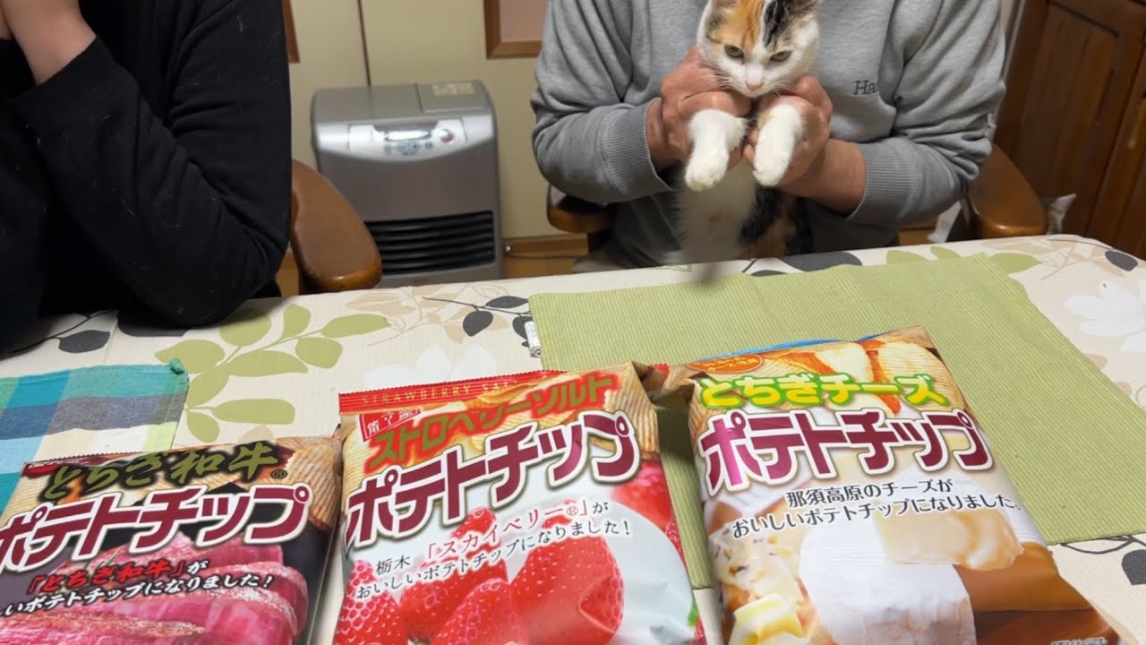 【いちごポテチ⁉️】栃木のポテチ食べ比べしてみたら意外な結果に…？