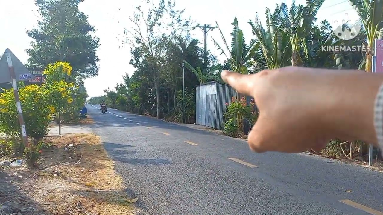 Bẫy Chim huýt cô đầu đen ở Trà Vinh, Tuyển Chim chuyền tố chất giao ae đặt.