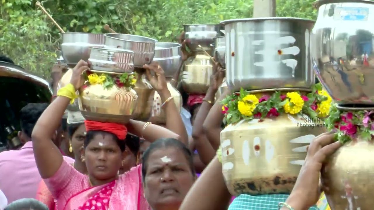 பன்னியான் ஸ்ரீ வடக்குவாசல் செல்வி அம்மன்  கோவில் புரட்டாசி பொங்கல் திருவிழா