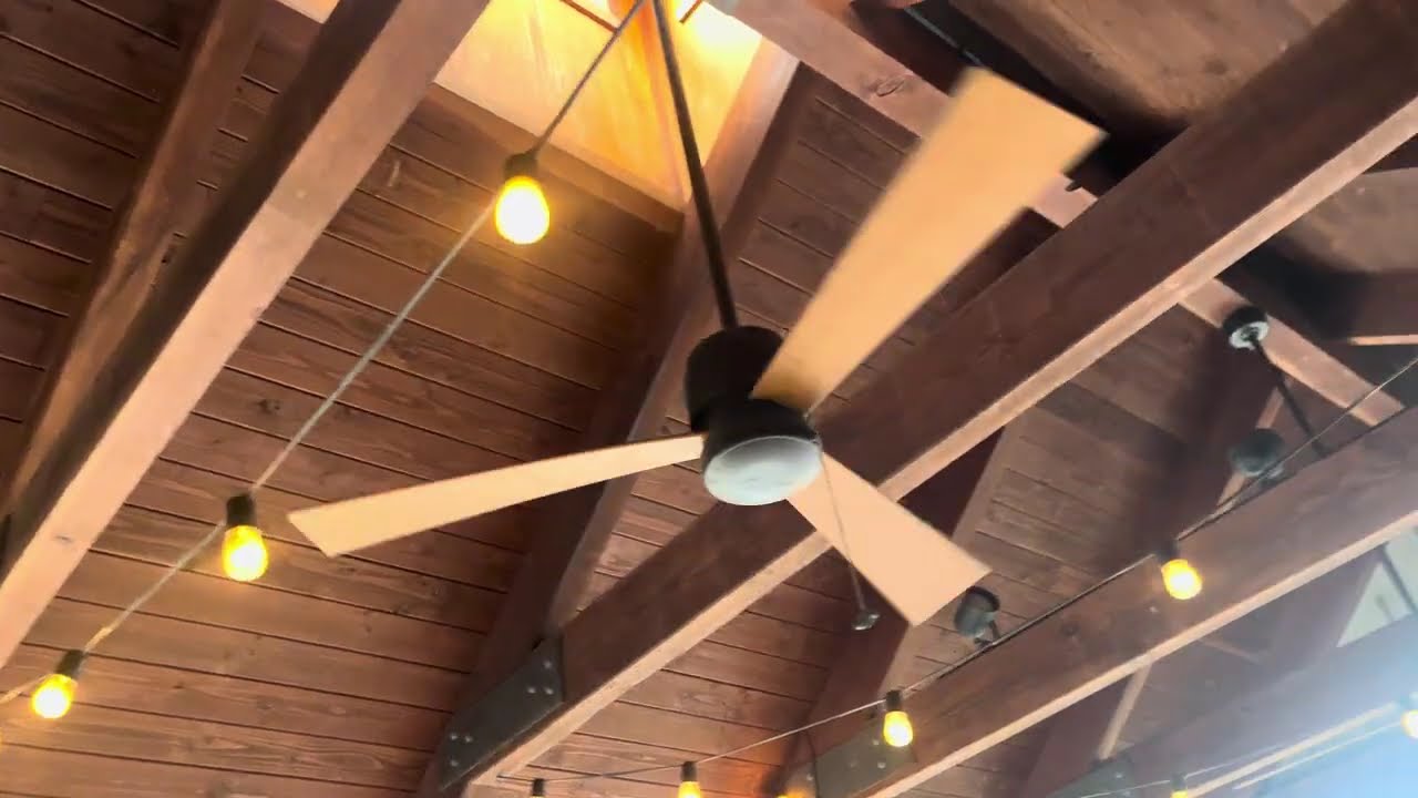 Fanimation Zonix Wet ceiling fans