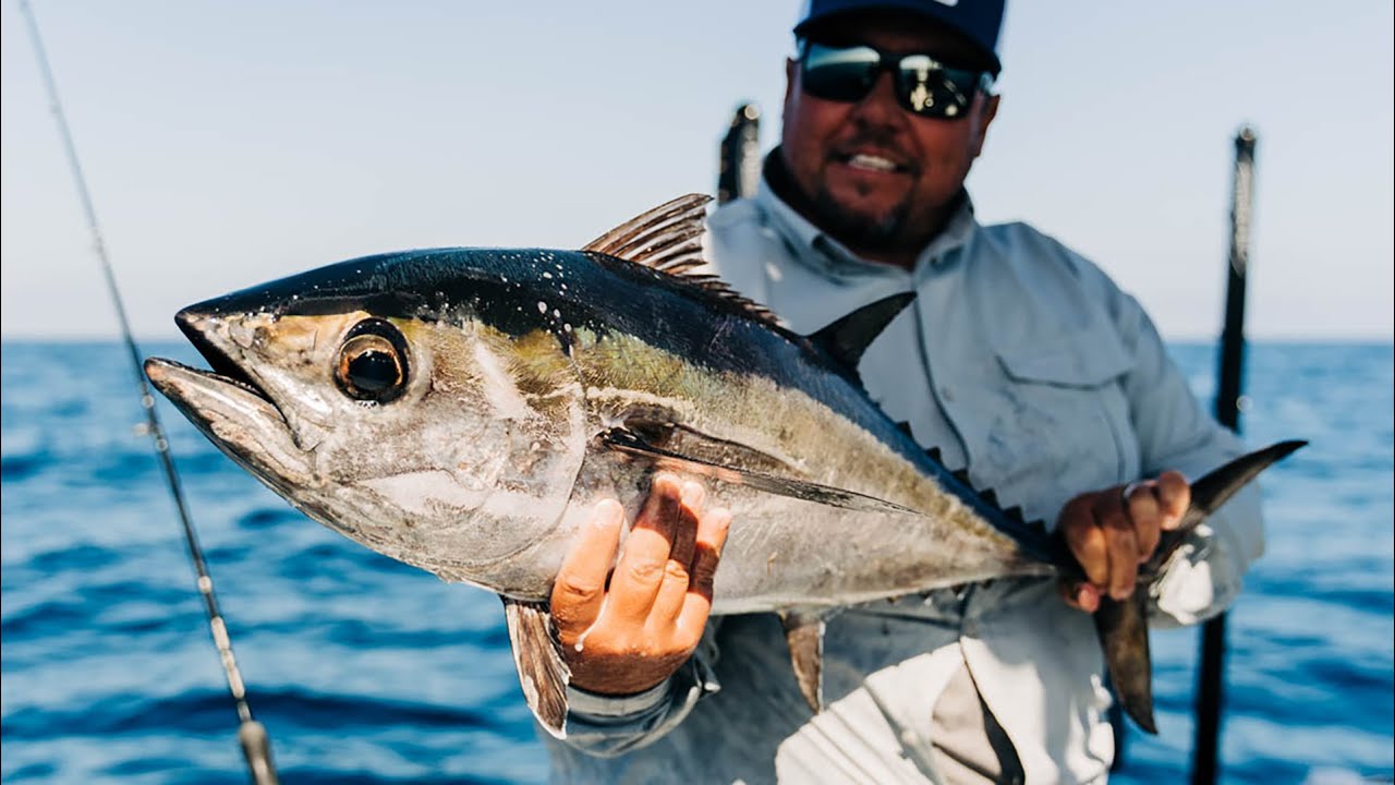 Guidelines - Blackfin Tuna Fishing with Capt. Jason Stock