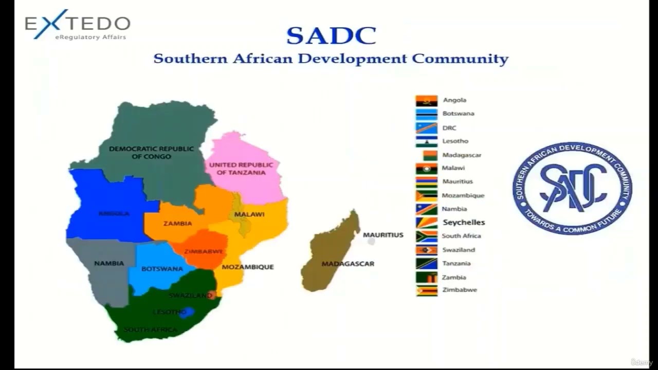 CTD NeeS eCTD overview 🌍Regulatory Affairs📚📝🧑‍💻👨‍💻