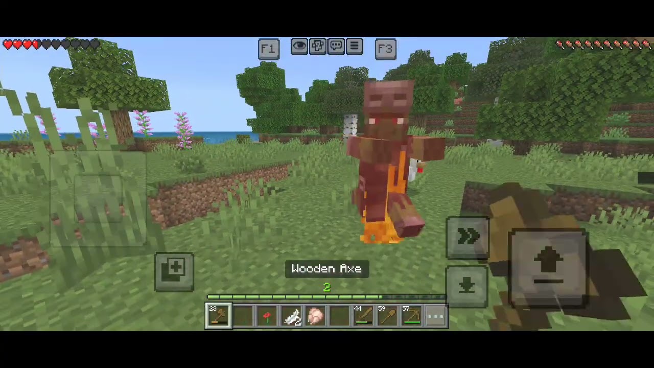 Mc gameplay