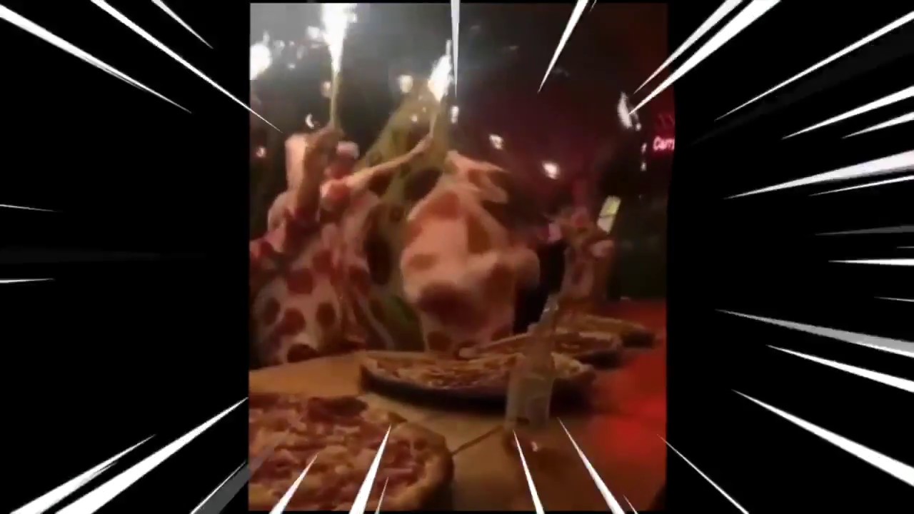PizzaCult.MP4