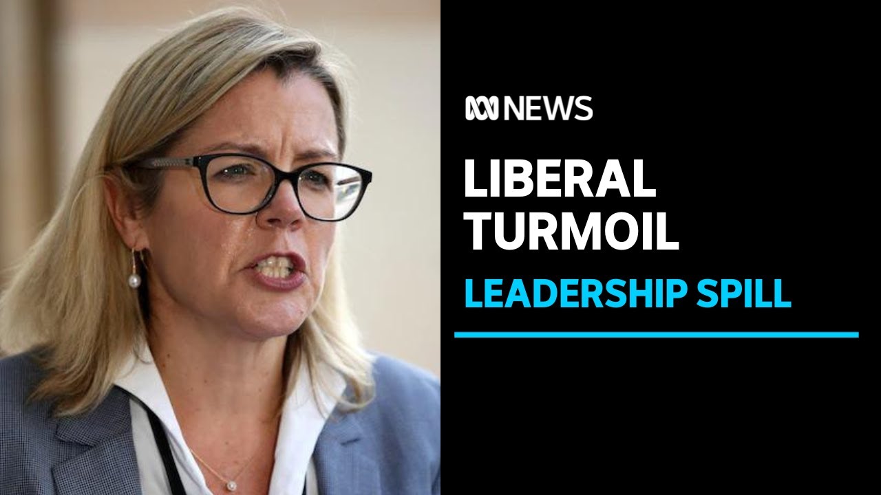 WA Liberal leadership turmoil as party's only two Lower House MPs battle for top job | ABC News