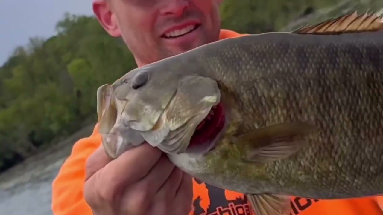 NEW!! Show intro for Michigan Outdoor Obsession 2025!!