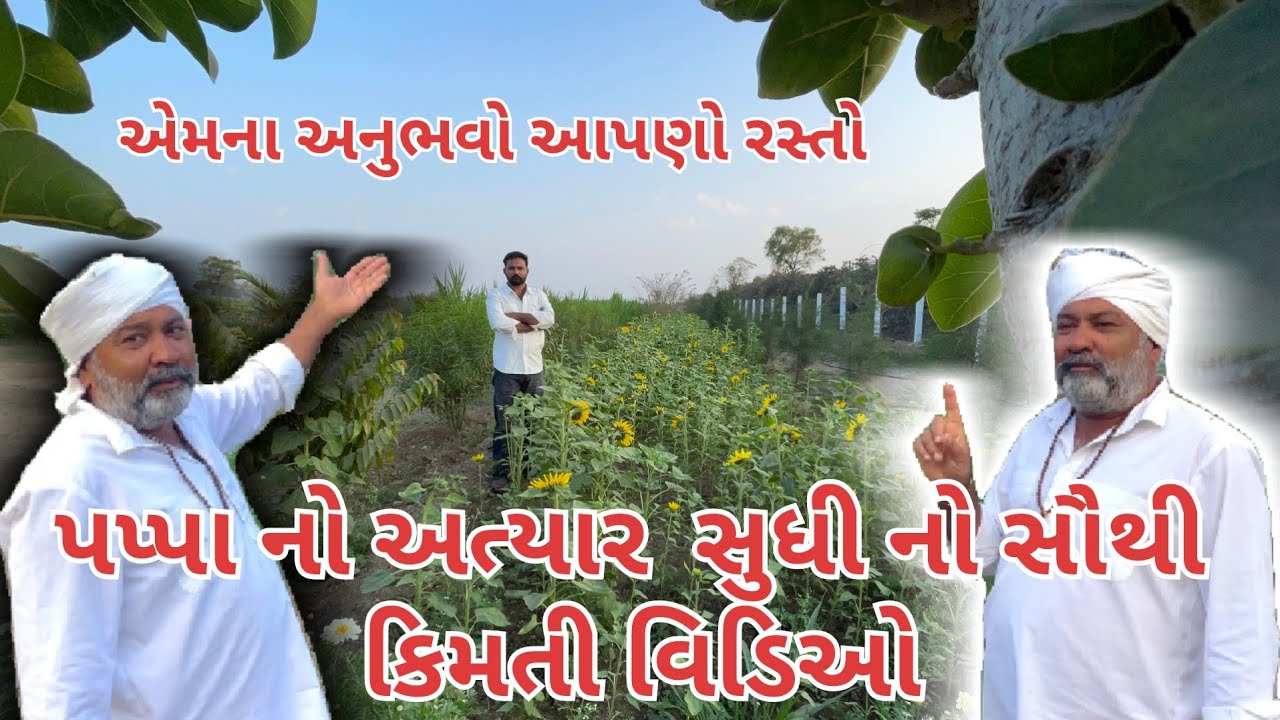 પપ્પા નો સૌથી કિંમતી વિડિઓ | જે દિવસે આ બન્યું તે દિવસ નો વીડિયો |village life | farmer life