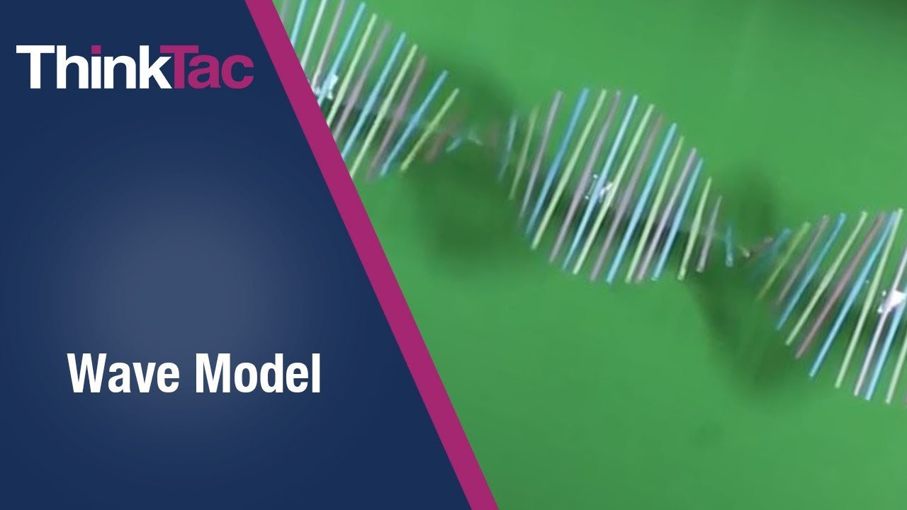 Wave Model | ThinkTac