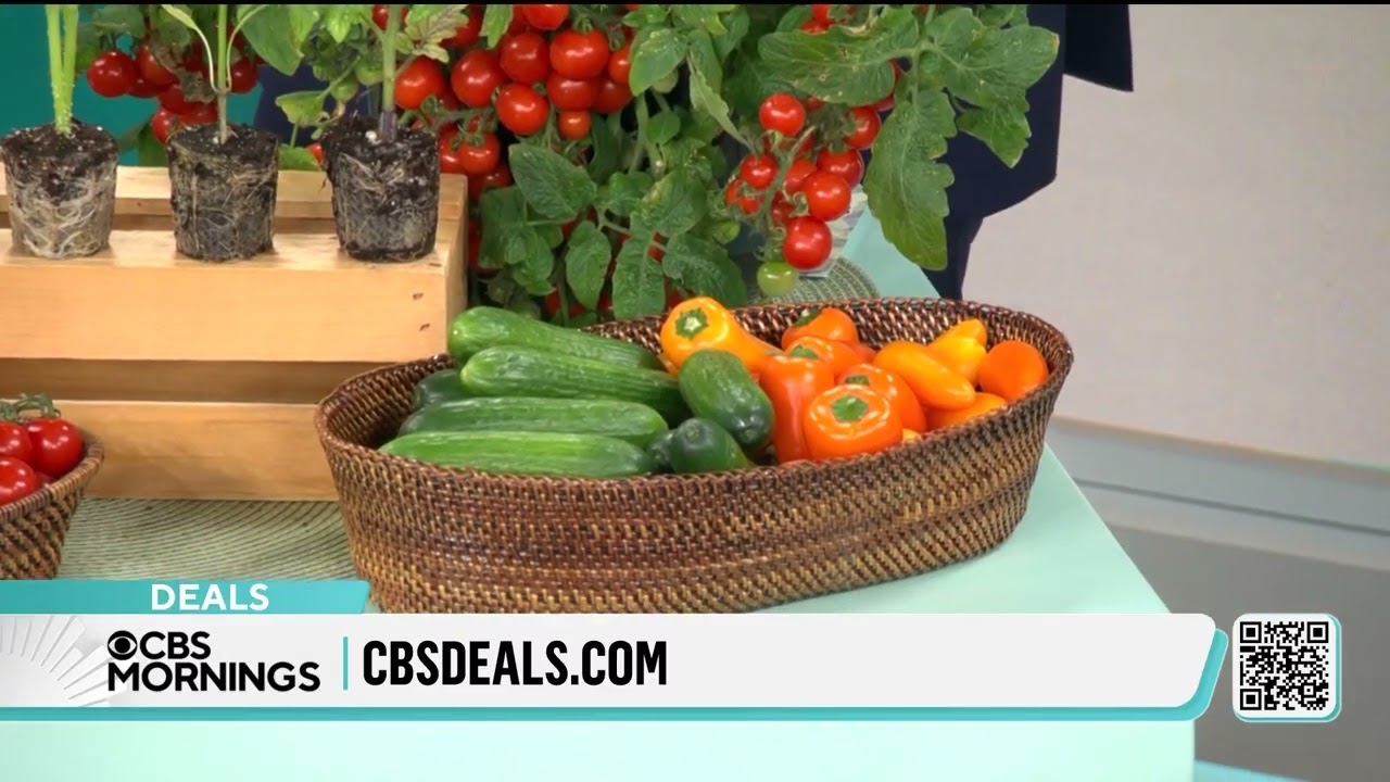 CBS Morning Deals - Roberta's Unique Garden - Thursday_April 10th.2025