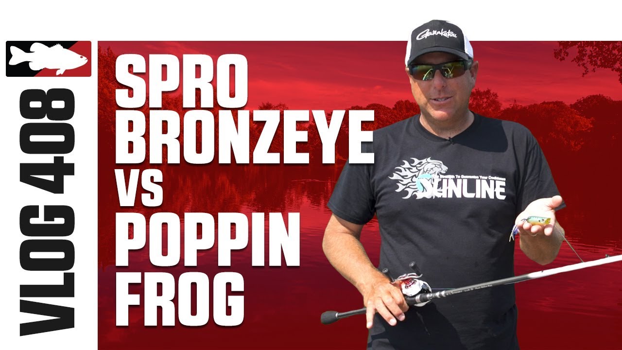 Дин Рохас ловит рыбу на Spro Bronzeye Frog 65 и Poppin' Frog на Миссисипи — TW VLOG #408