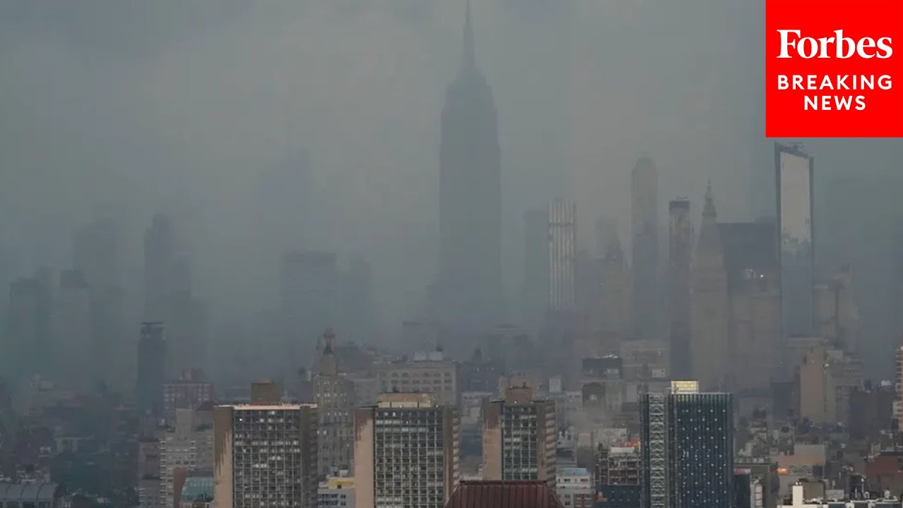 This Is Why New York Will Ultimately Collapse: Steve Forbes