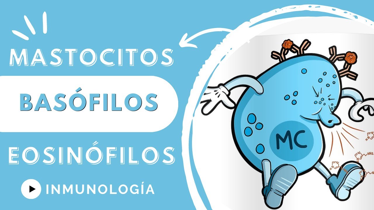 MASTOCITOS, BASÓFILOS Y EOSINÓFILOS.