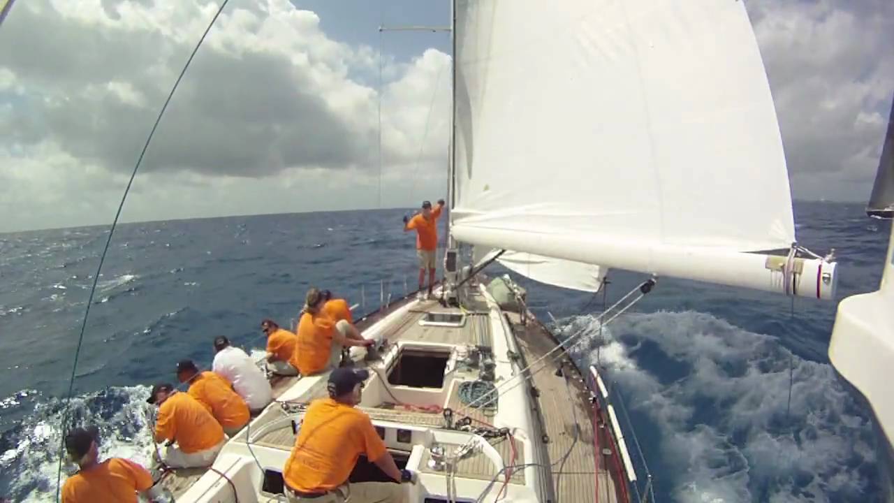 Avocation, Day 2, race 3 start