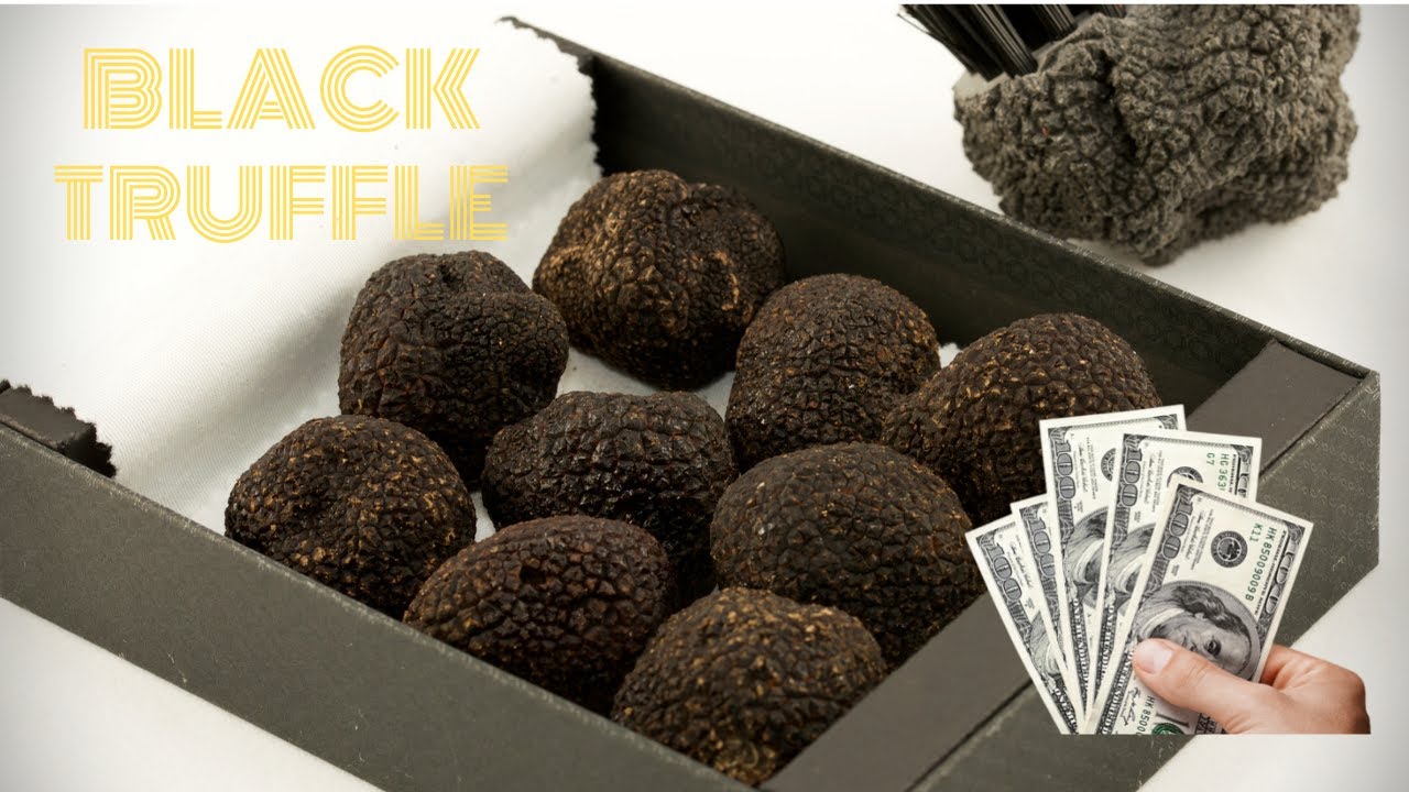 How to Choose Fresh Truffles, A Professional Chefs Perspective