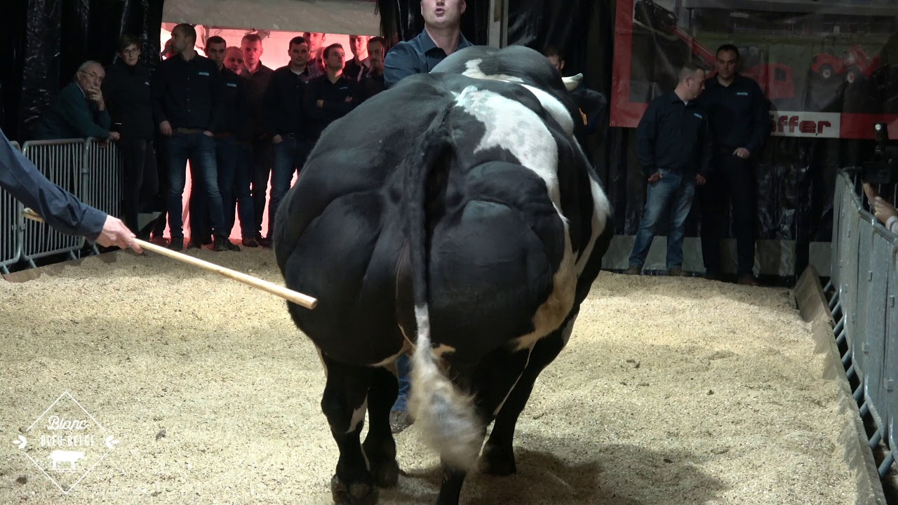 GENERAL de l'Ecluse 11/2019