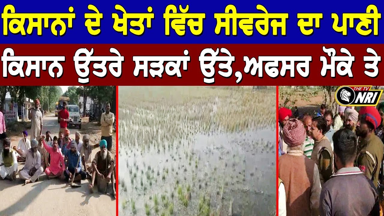 ਸੀਵਰੇਜ਼ ਦੇ ਗੰਦੇ ਪਾਣੀ ਕਰਕੇ ਸਾਰਾ ਖਰੜ ਸ਼ਹਿਰ ਹੋਇਆ ਪਰੇਸ਼ਾਨ - Kharar News