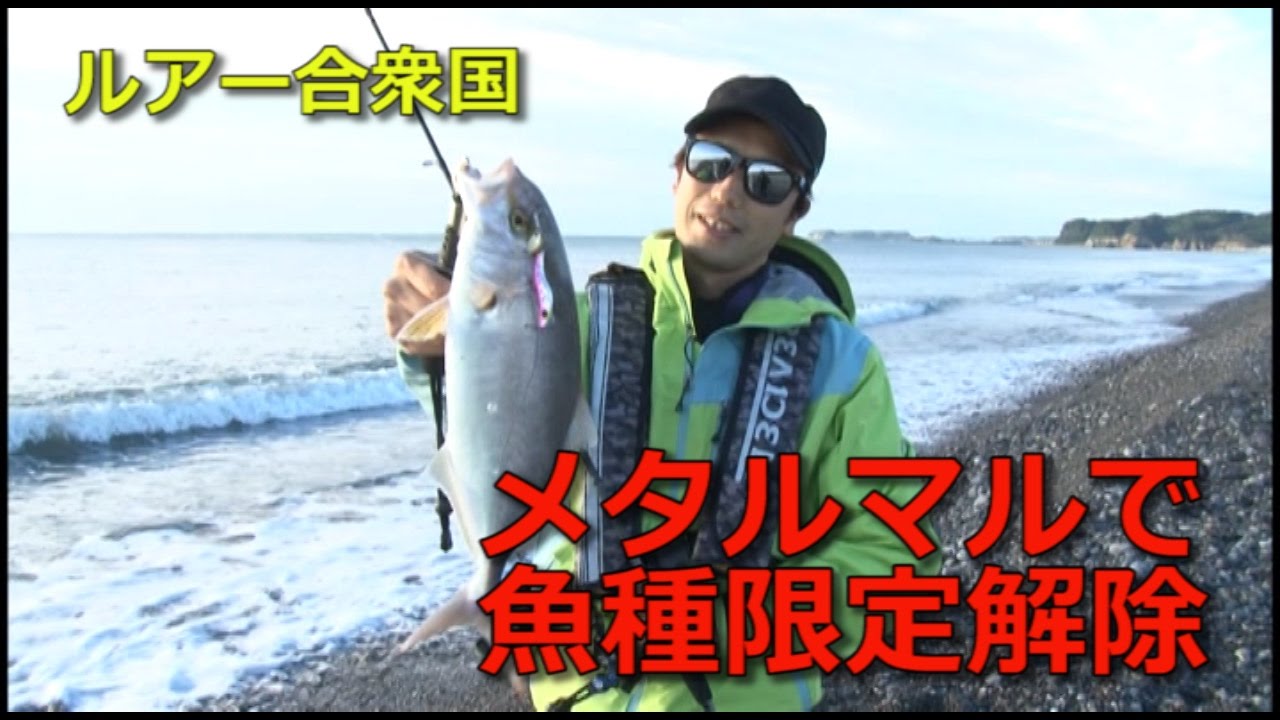 ルアー合衆国/“メタルマル”で魚種限定解除！お気軽ライトショアジギング！【BREADEN】