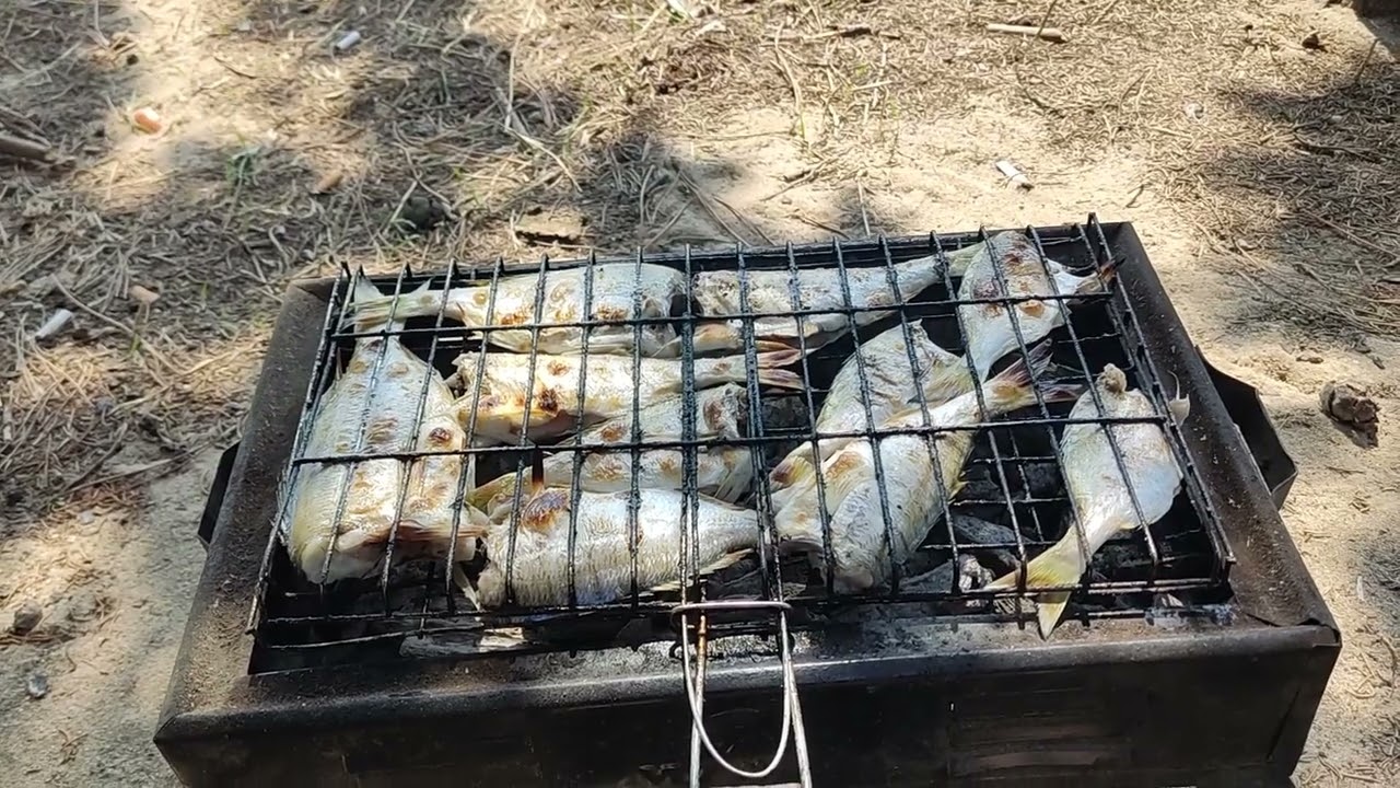 Saroz Körfezi Enez Kampı ve Surfcasting Balık Avı