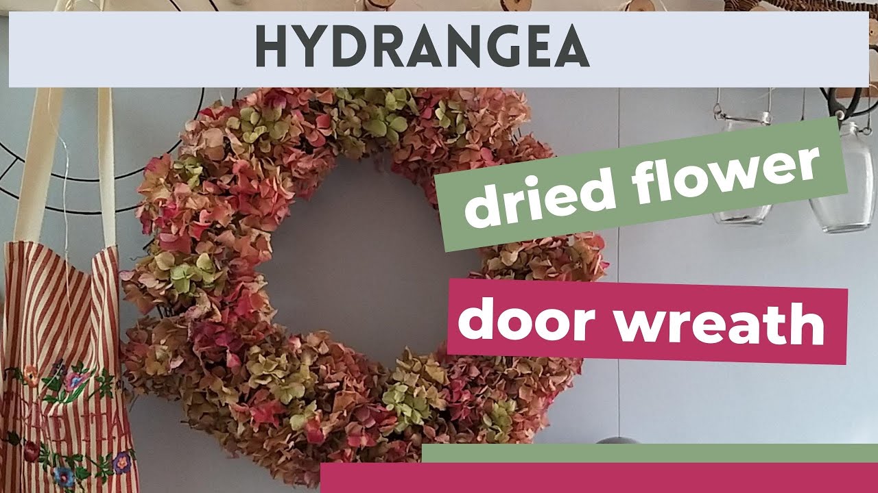 Making a dried hydrangea door wreath