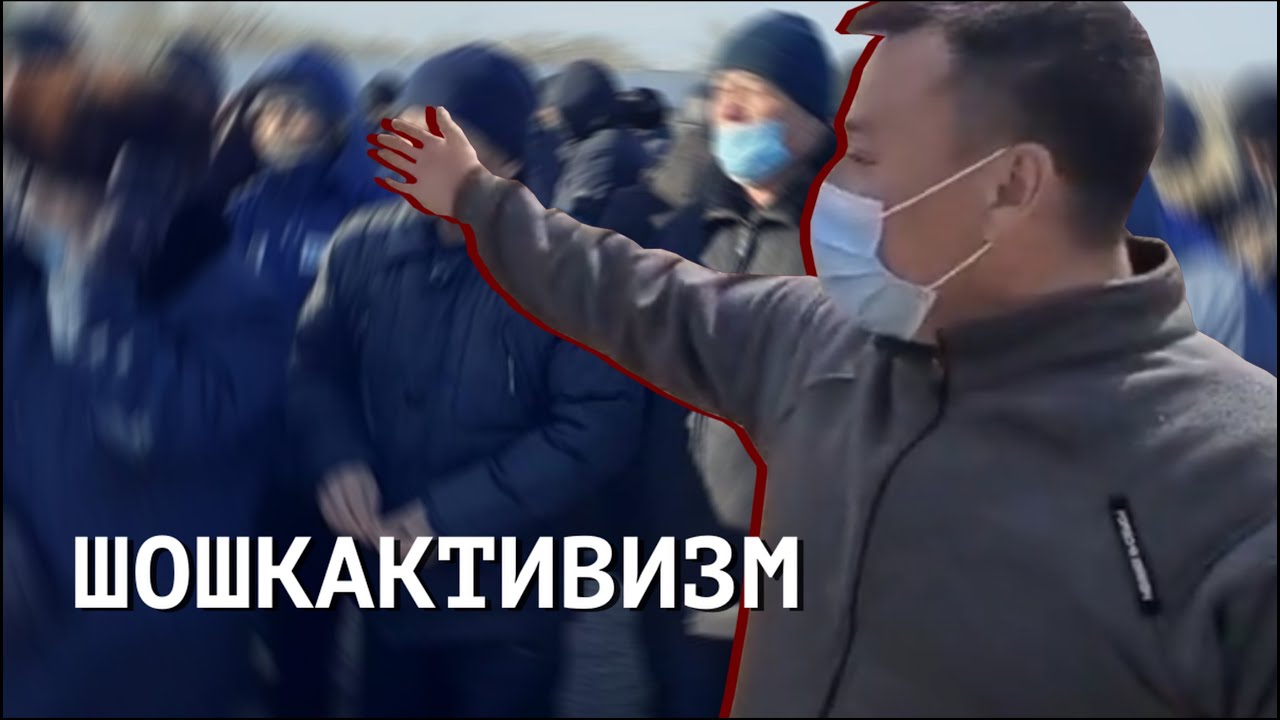 ШНЫРИ ВЛАСТИ