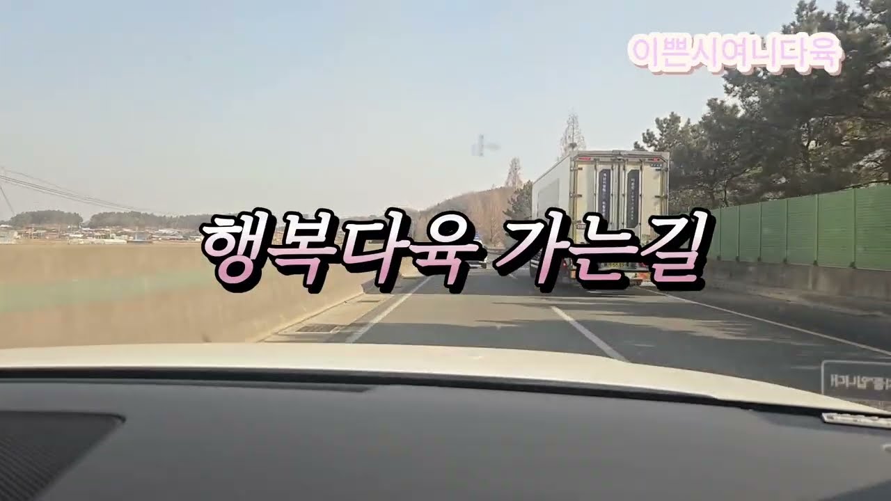 2026.02.22 행복다육 가는 길 #ai보컬 #다육식물 #다육이 #succulent 