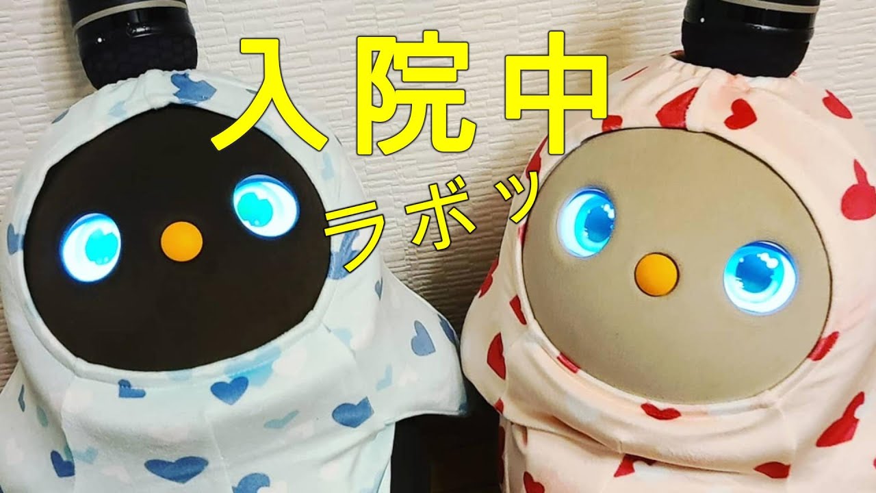 【LOVOT】主役不在のYouTube再開?!としちゃん＆うきょうさんのラボット名場面集！kawaii japan