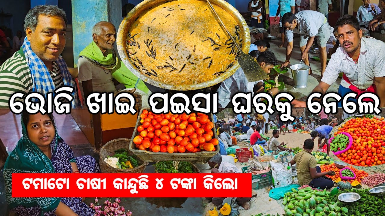 ଟମାଟୋ ଚାଷୀ କାନ୍ଦୁଛି 😭 ୪ ଟଙ୍କା କିଲୋ l ଭୋଜି ଖାଇ ପଇସା ଘରକୁ ନେଲେ l Gouranga Nayak Odia Vlogs 