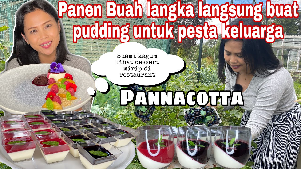 PANEN BUAH LANGKA LANGSUNG BUAT PUDDING UNTUK PESTA KELUARGA || COLLAB VLOG