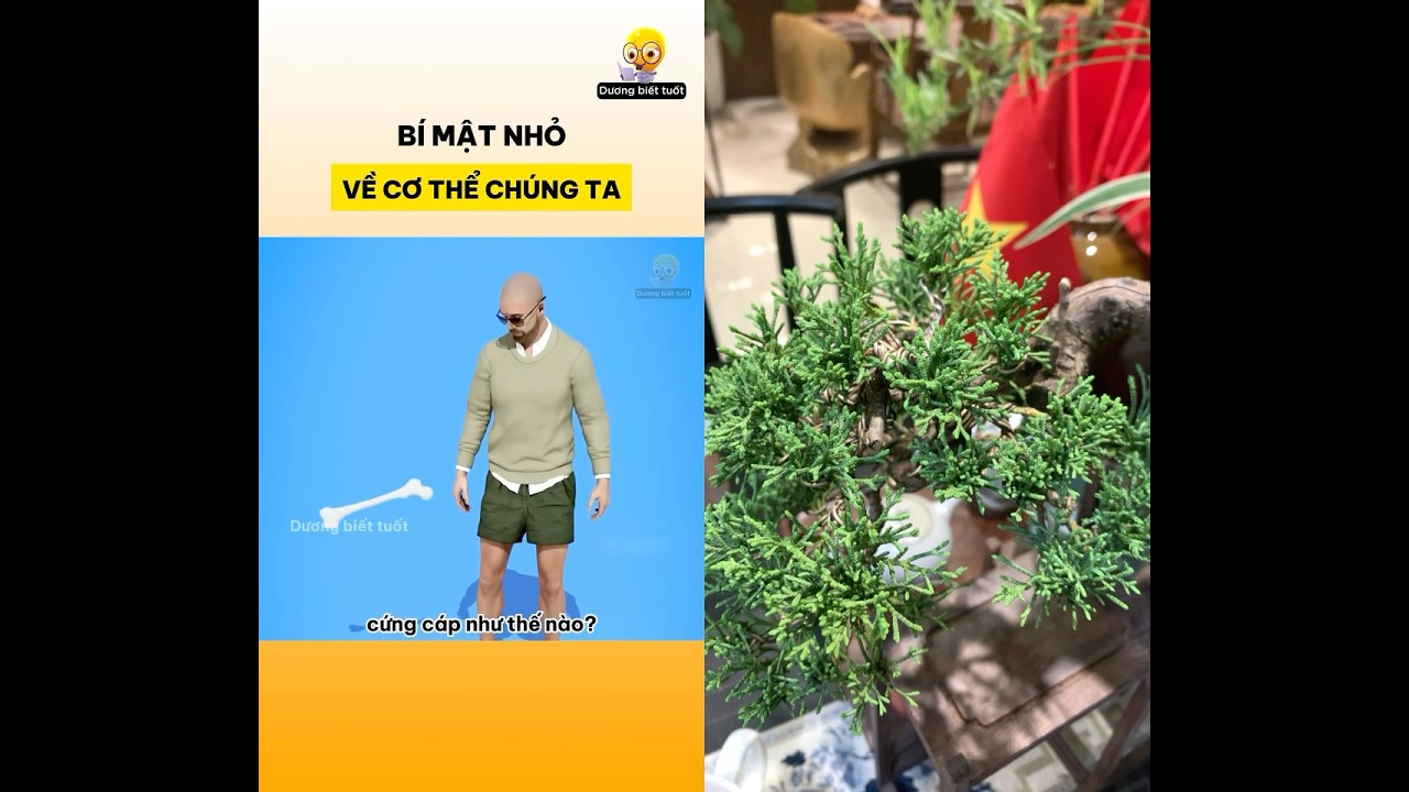 Xương ch&uacute;ng ta cứng như thế n&agrave;o ! Kiến thức th&uacute; vị #kienthuc #hocmoingay #suckhoe #kienthucthuvi