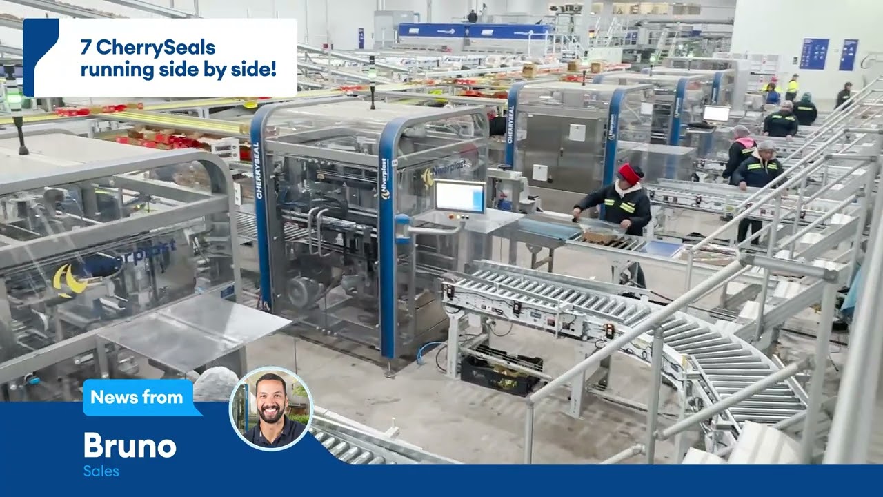 NIVERPLAST | FRUITS & VEGETABLES | 7 CHERRYSEALS RUNNING SIDE BY SIDE