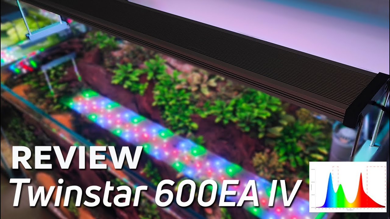 Twinstar 600 EA IV 💡🌿 Pantalla RGB Con tecnología de LED Naranja