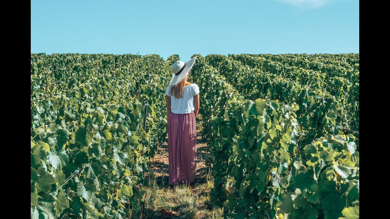 La Champagne : Que faire dans la Marne ?
