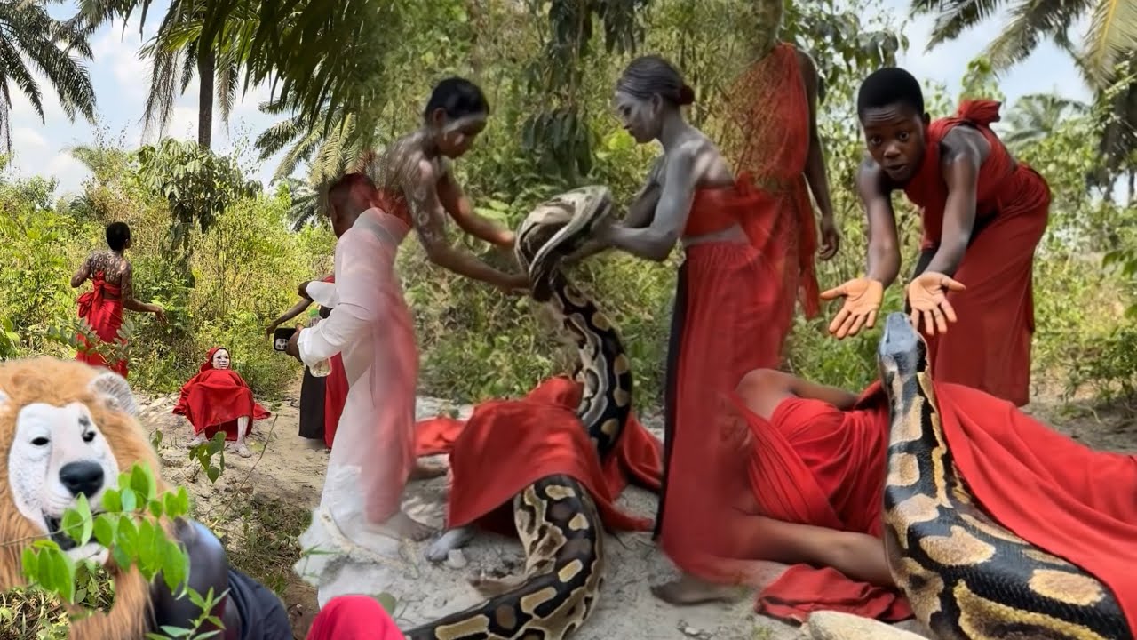 A postor run away when the lion and snake came out to attack apostle but God Almighty intervene ￼