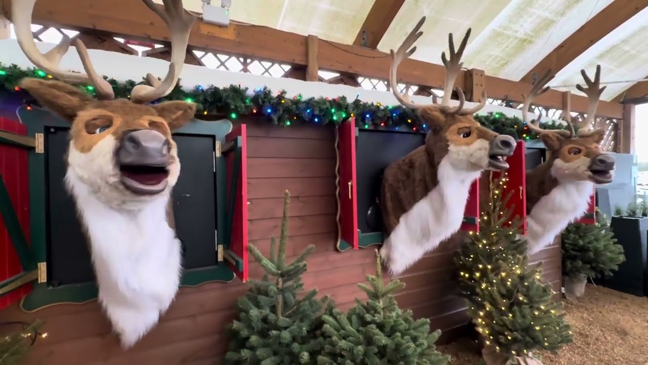 Rudolph and Pals Singing 