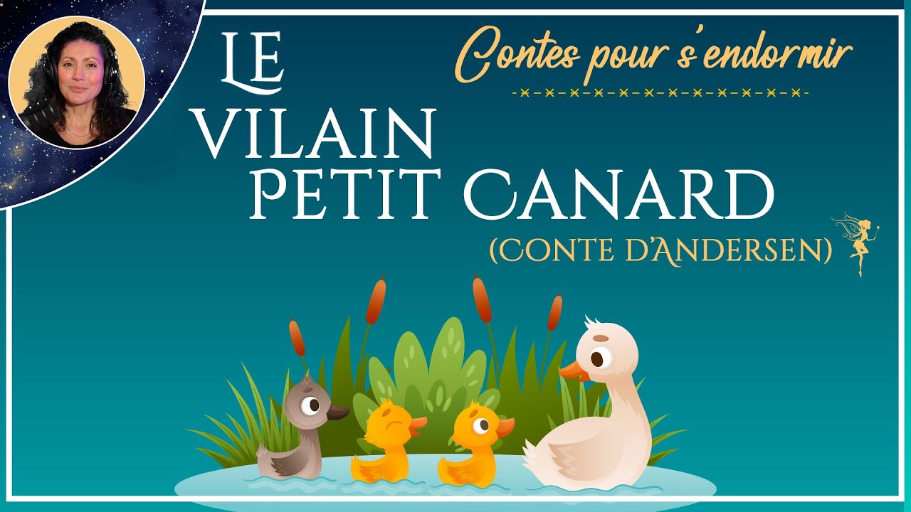 Le vilain petit canard | conte pour dormir | conte d'Andersen