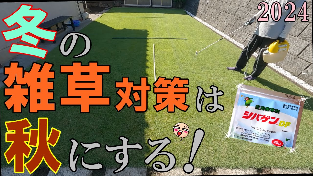 【芝生の除草剤】冬の芝生の雑草対策に“シバゲン”を撒いた！😊[2024#16]
