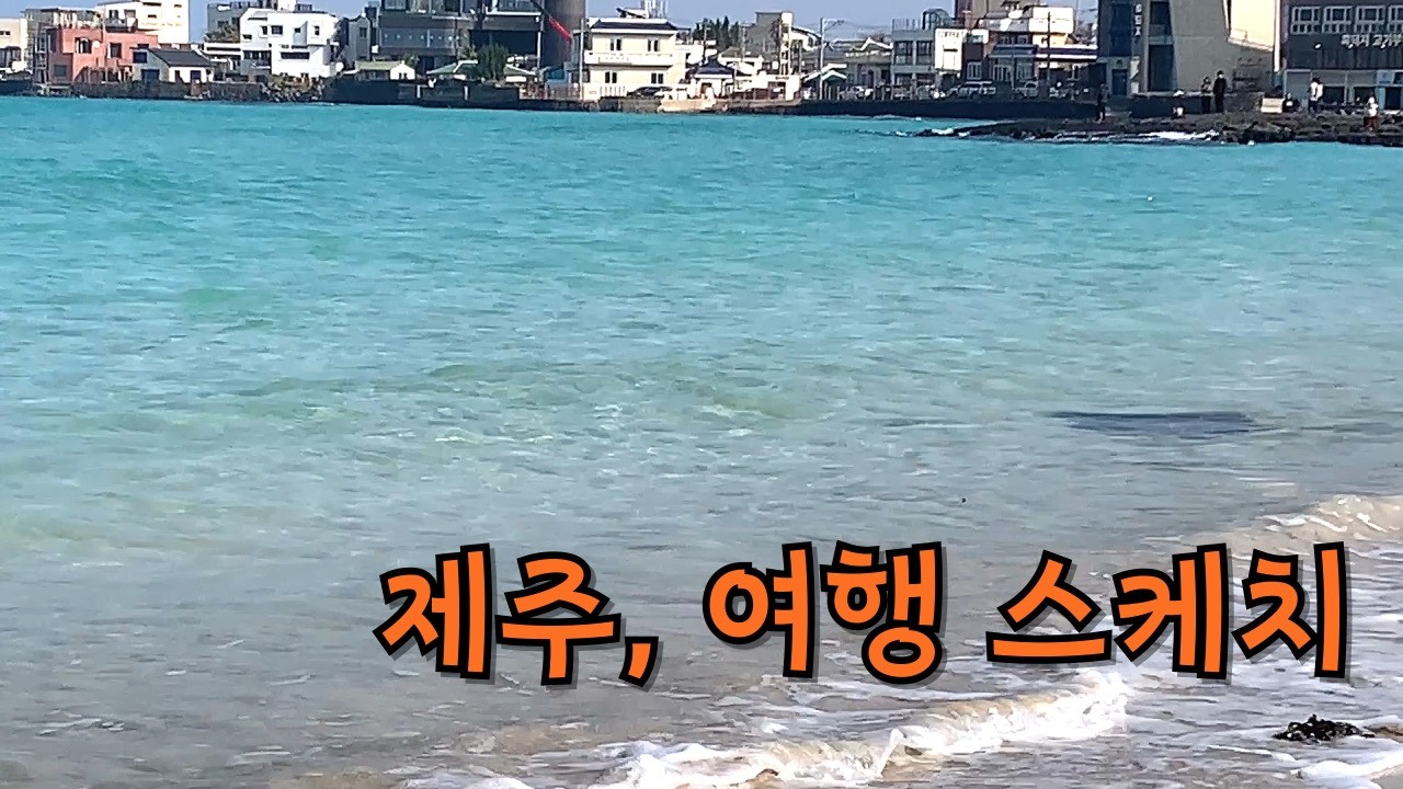 제주 여행 스케치 1/동백과 유채, 양배추밭과 먼나무, 그리고 바다&파도소리