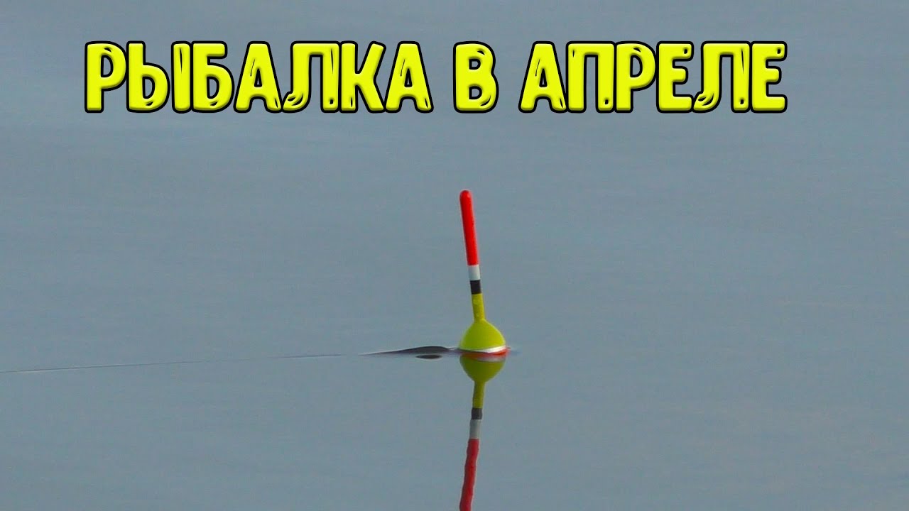 Рыбалка на поплавок 7 апреля 2024 . Открытие сезона!