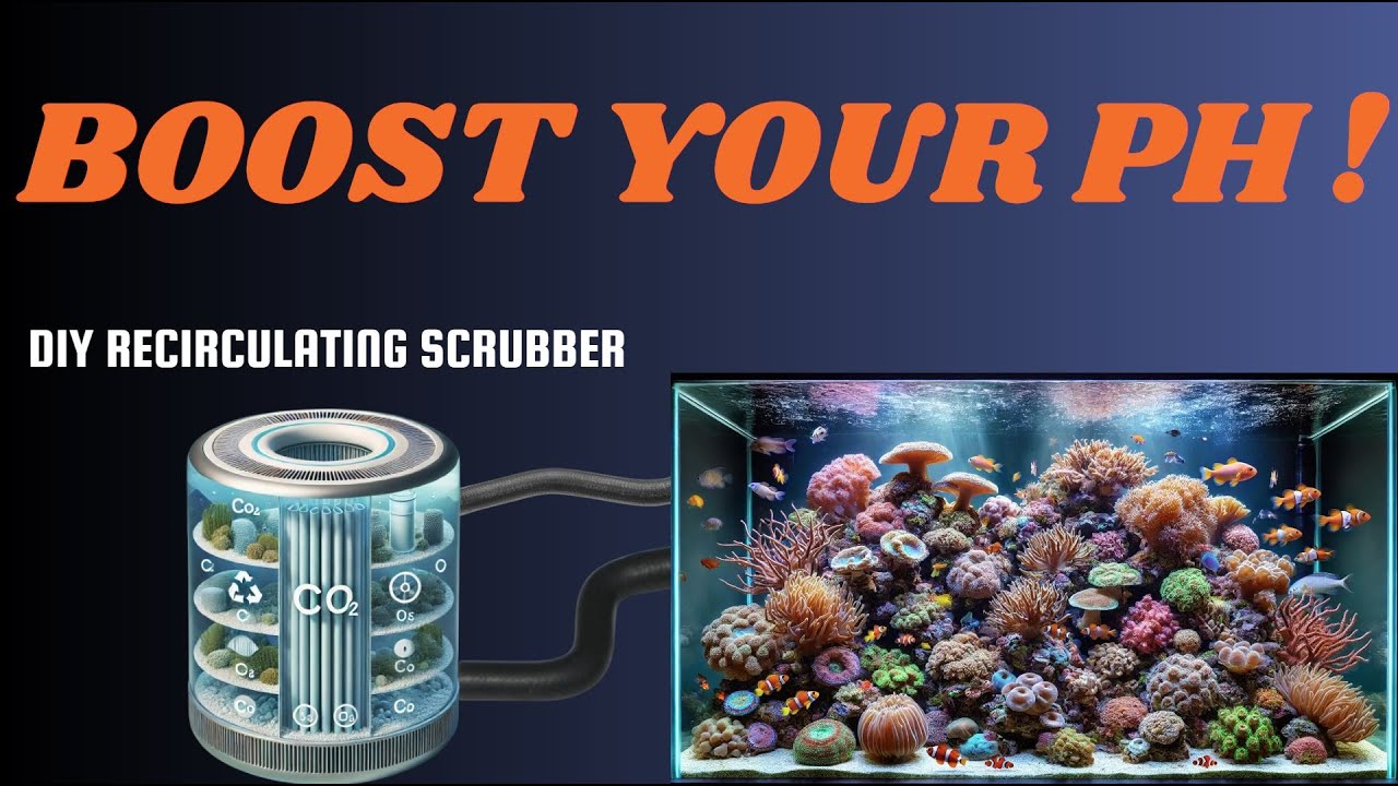 Increase Your pH with This 30-Minute CO2 Scrubber Blueprint!