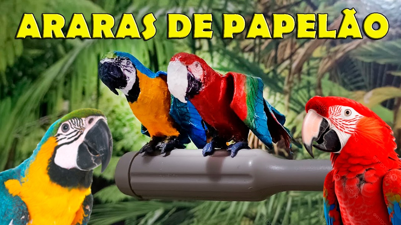 COMO FAZER ARARAS DE PAPELÃO