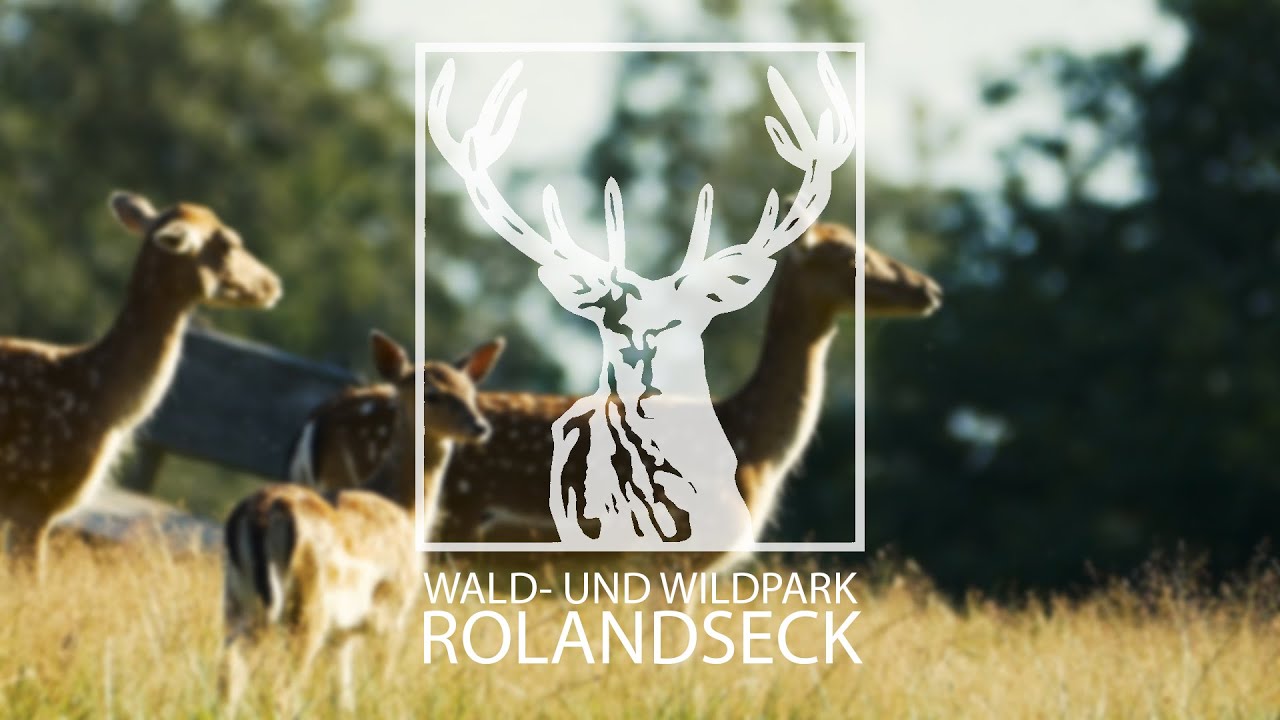 Wald- und Wildpark Rolandseck