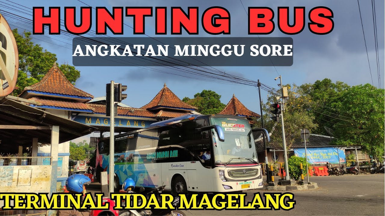 RAME BANGET !! Hunting bus spesial libur waisak di terminal tidar magelang