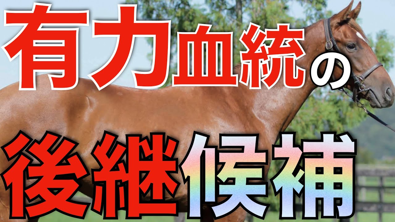 【価値高い】米国トップサイアーの後継馬が日本でも誕生か！能力は抜けている。