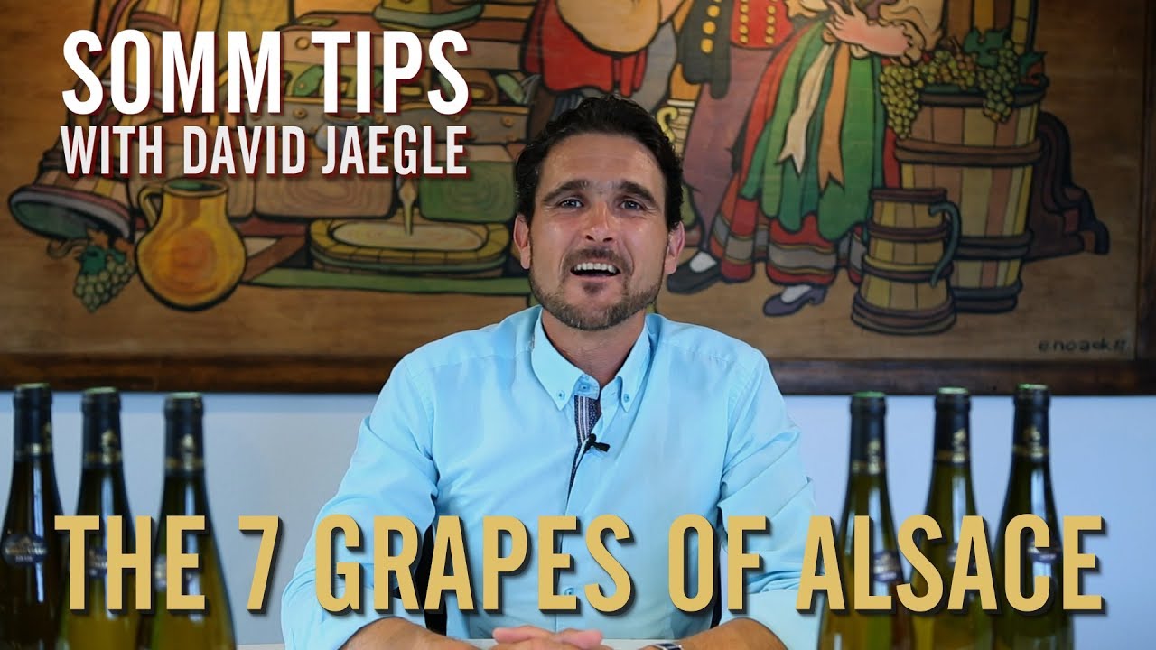 The 7 Grapes of Alsace - Somm Tips with David Jaegle