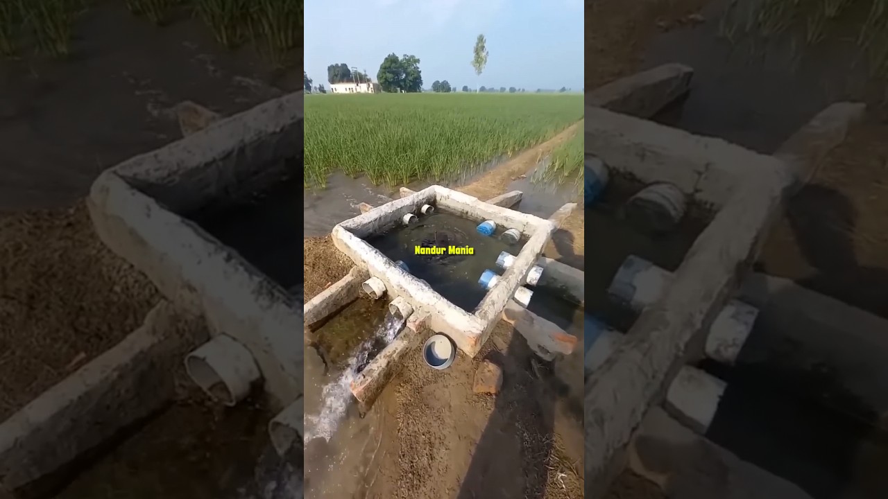 Sistem Irigasi Cerdas #irigasi #pengairan #pertanian #alatpertanian