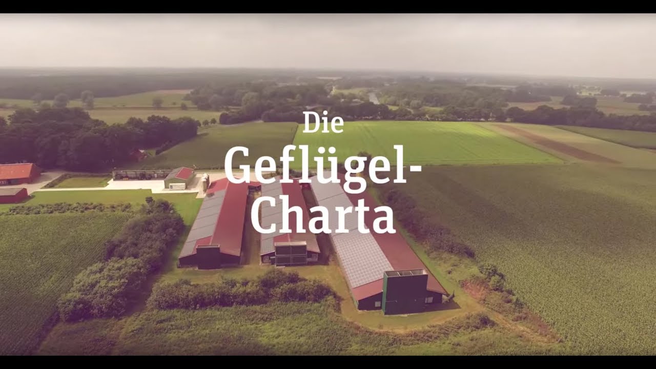 Der Film zur Gefl&uuml;gel-Charta