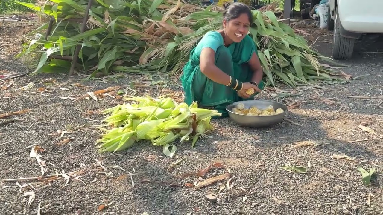आज बघा मकच्या कणसाची पार्टी हाय ।नवऱ्याला माझ्या कणसं खायचं लय याड हाय बघा ❤️#गावठीपुनम 