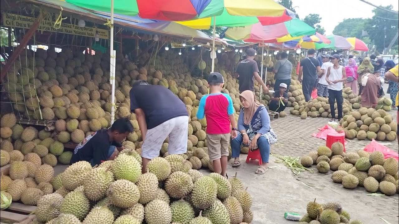 HATI - HATI KALAU BELI DURIAN DI SINI NGGAK MANIS MINTA GANTI JANGAN MAU BAYAR